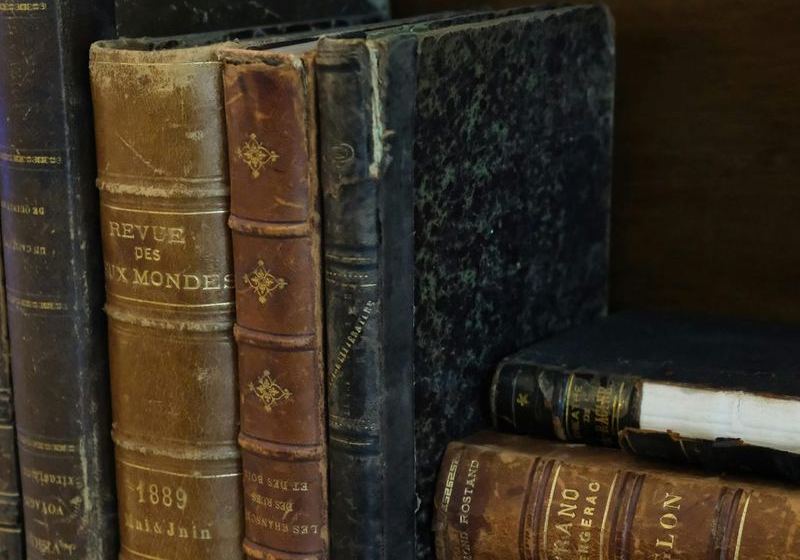 Old leather-bound books on a wooden shelf